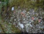 7-Kreuzle-Felsen